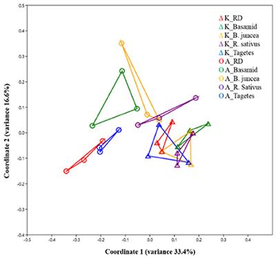 Effects of Soil Pre-Treatment with Basamid® Granules, Brassica juncea, Raphanus sativus, and Tagetes patula on Bacterial and Fungal Communities at Two Apple Replant Disease Sites